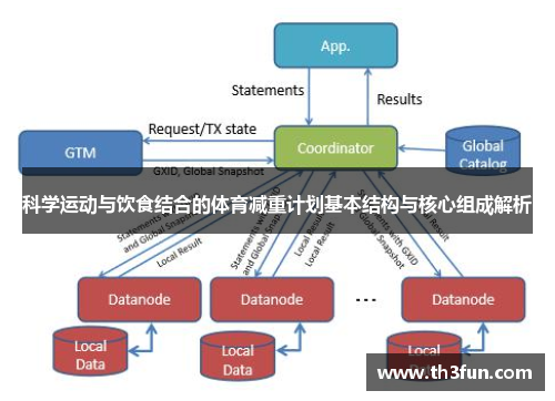 科学运动与饮食结合的体育减重计划基本结构与核心组成解析