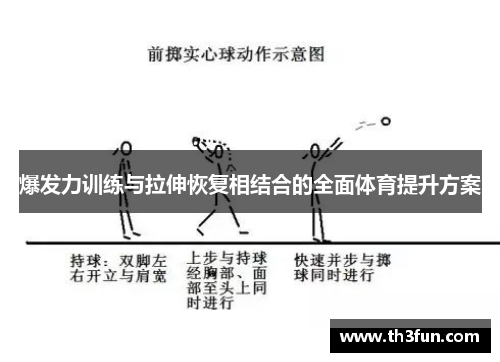 爆发力训练与拉伸恢复相结合的全面体育提升方案
